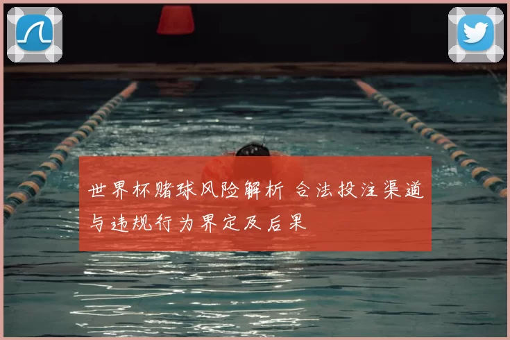 世界杯赌球风险解析 合法投注渠道与违规行为界定及后果