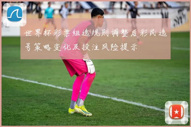世界杯彩票组选规则调整后彩民选号策略变化及投注风险提示