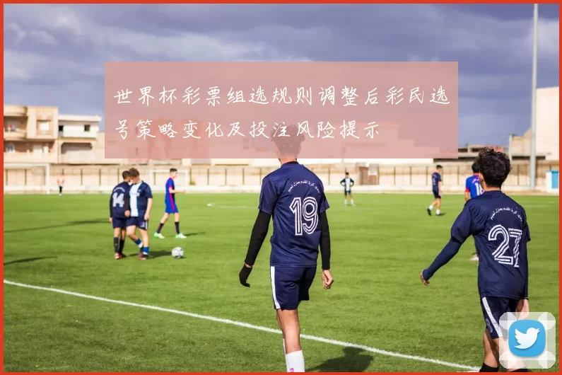 世界杯彩票组选规则调整后彩民选号策略变化及投注风险提示