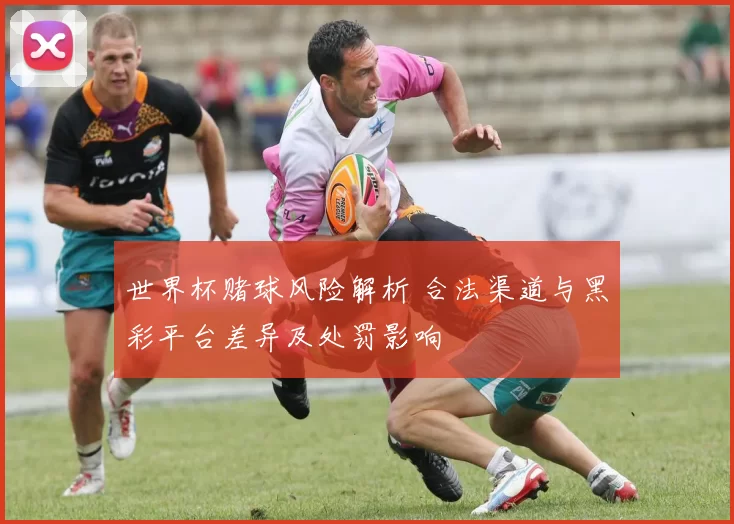 世界杯赌球风险解析 合法渠道与黑彩平台差异及处罚影响