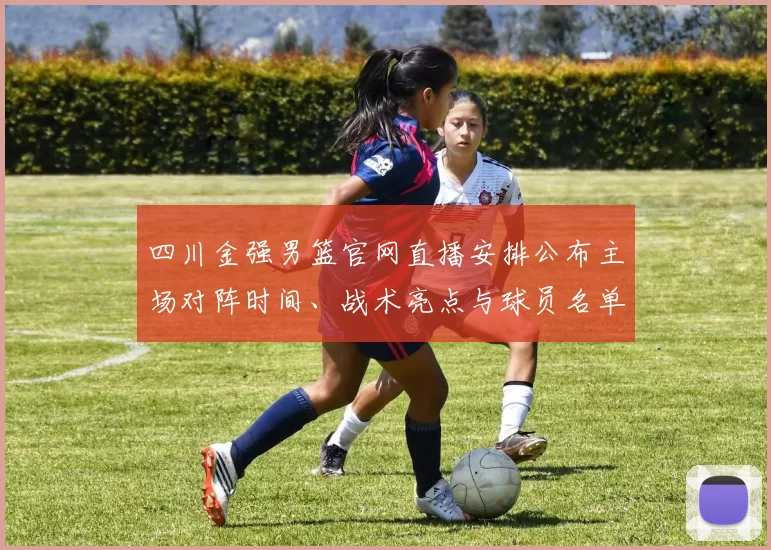 四川金强男篮官网直播安排公布主场对阵时间、战术亮点与球员名单
